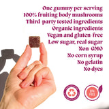 Motivate Mushroom Gummies