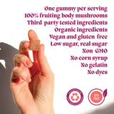 Concentrate Mushroom Gummies