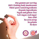 Hibernate Mushroom Gummies